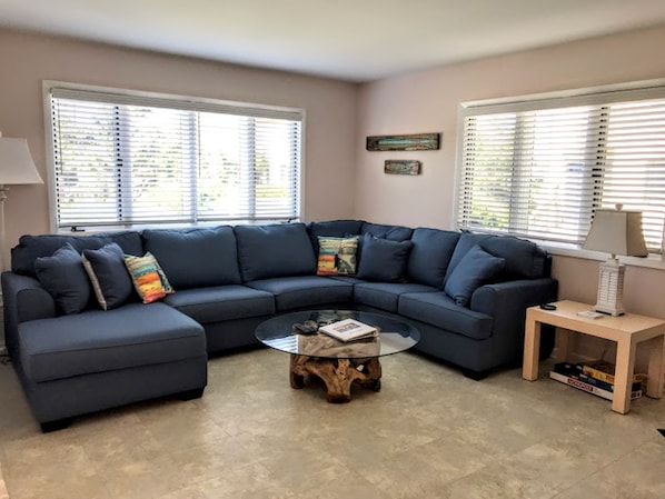Smart TV, fireplace, books, stereo