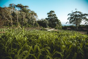Grill-/Picknickplatz