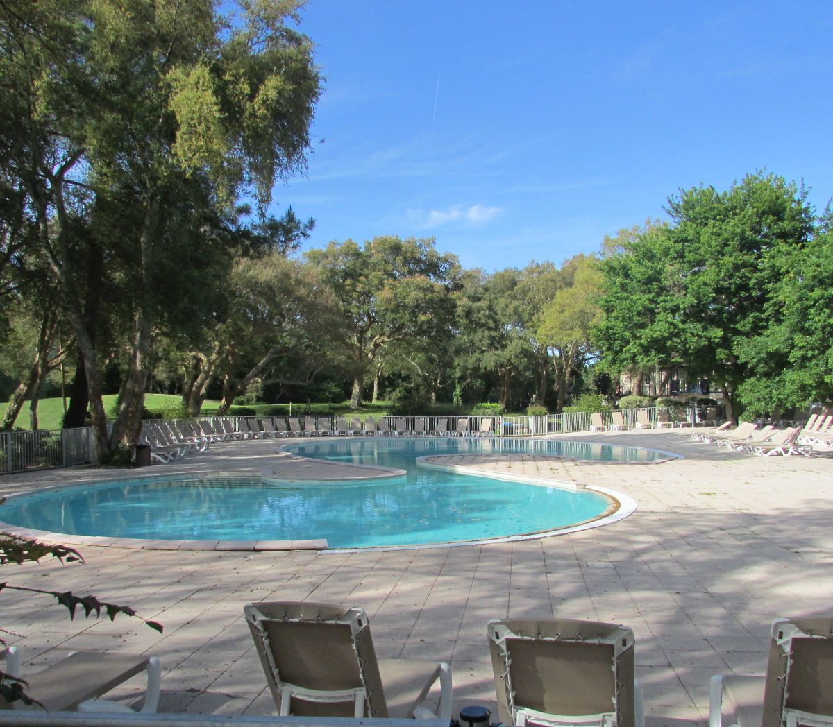 Piscina com espreguiçadeiras e um deck pavimentado, cercada por árvores.