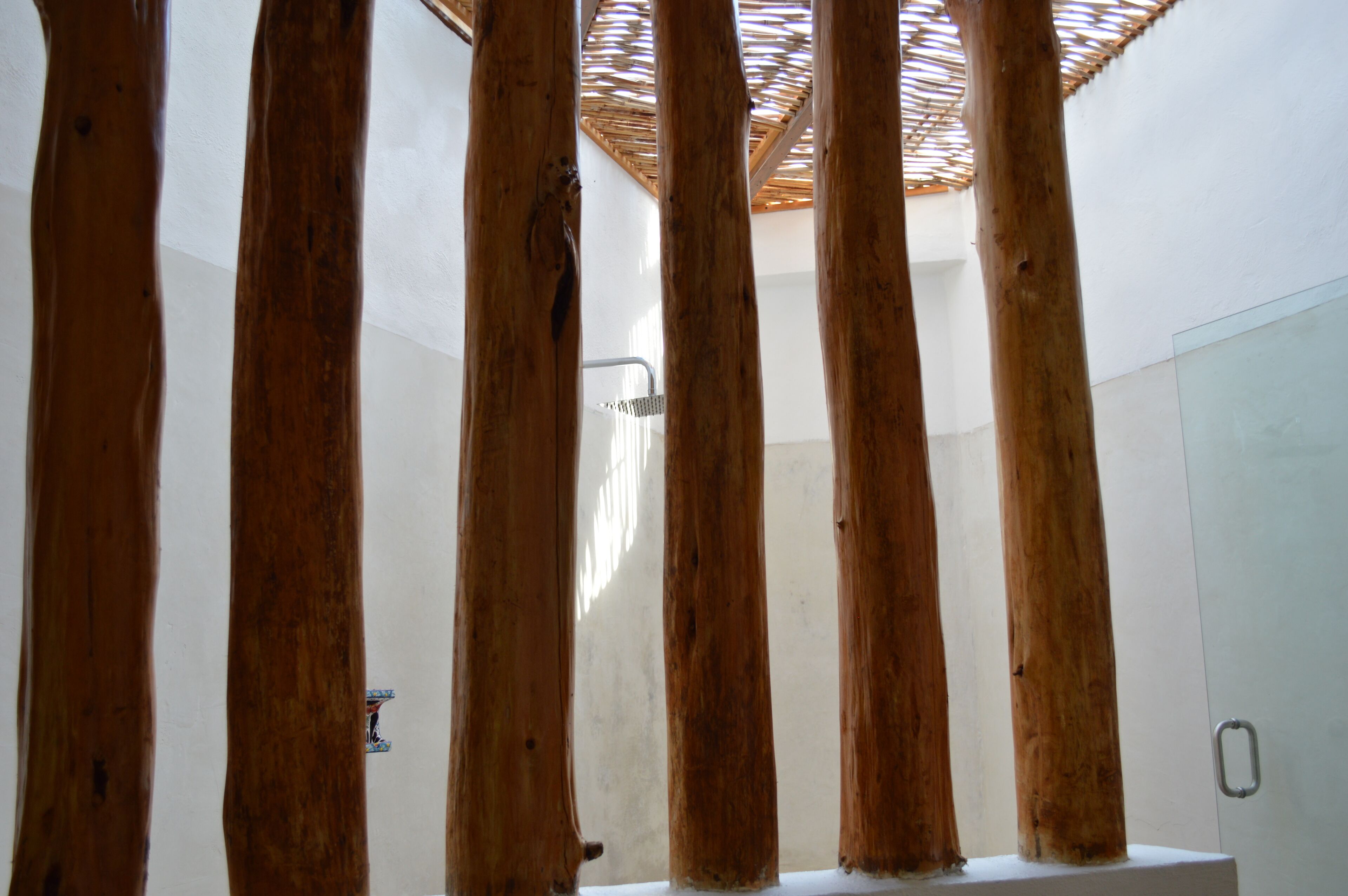 Ducha, secador de pelo, toallas