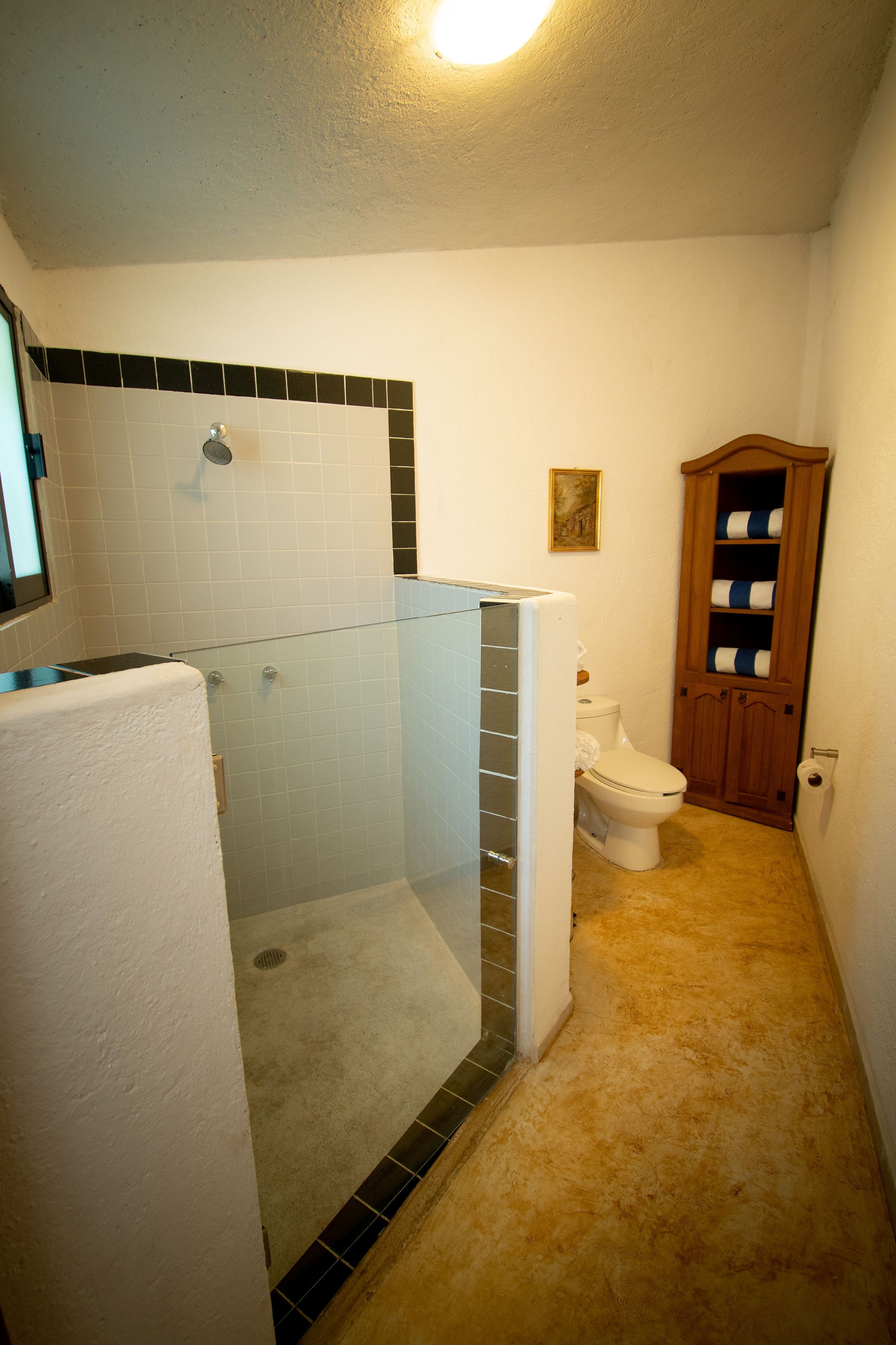 A bathroom with a glass-enclosed shower, a toilet, and a wooden cabinet.