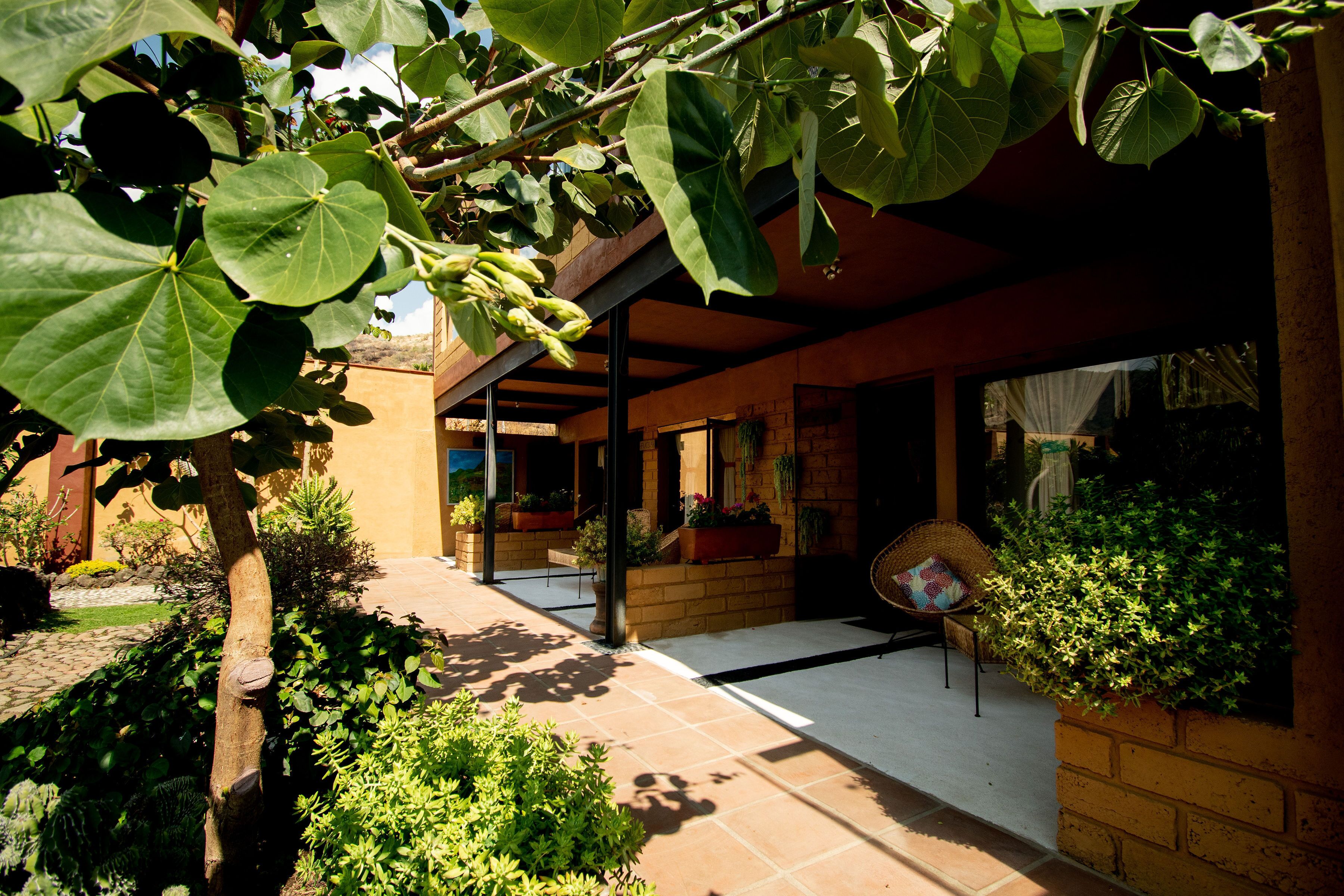 Habitacion Turquesa | Terraza o patio