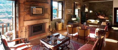 TV, fireplace, books