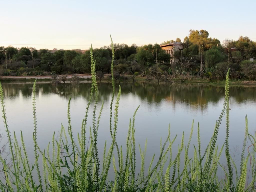 Lake