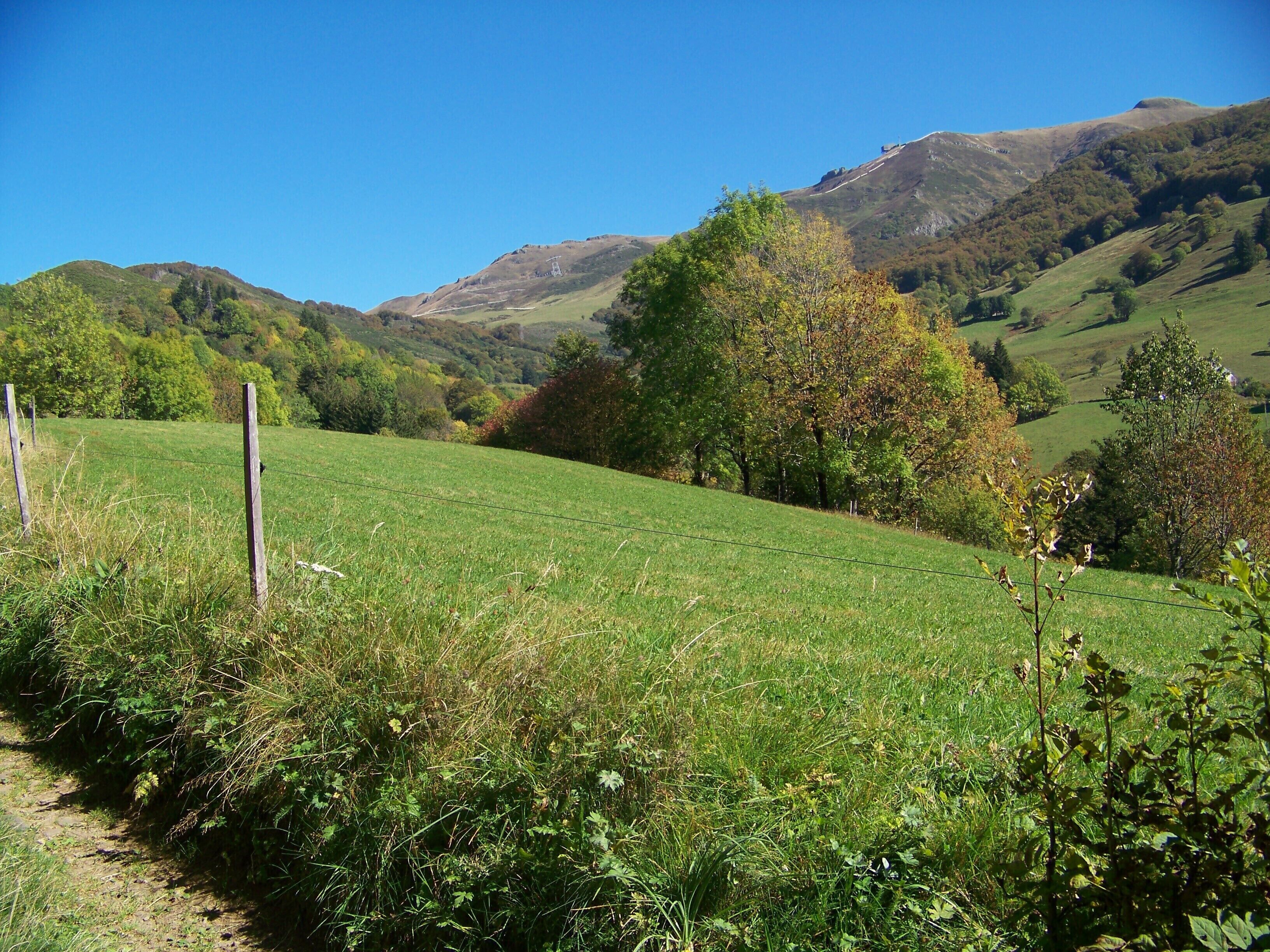 A grassy field with a fence, trees, and hills in the background.