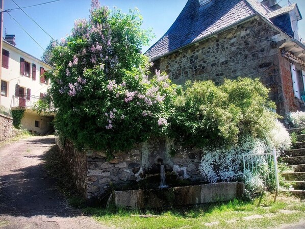 Un bâtiment en pierre agrémenté d’un élément décoratif avec de l’eau et de plantes fleuries.