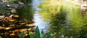 Ersalpark Ekin Dere Evleri