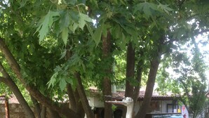 Exterior - Ersalpark Ekin Dere Evleri (Marmaris)