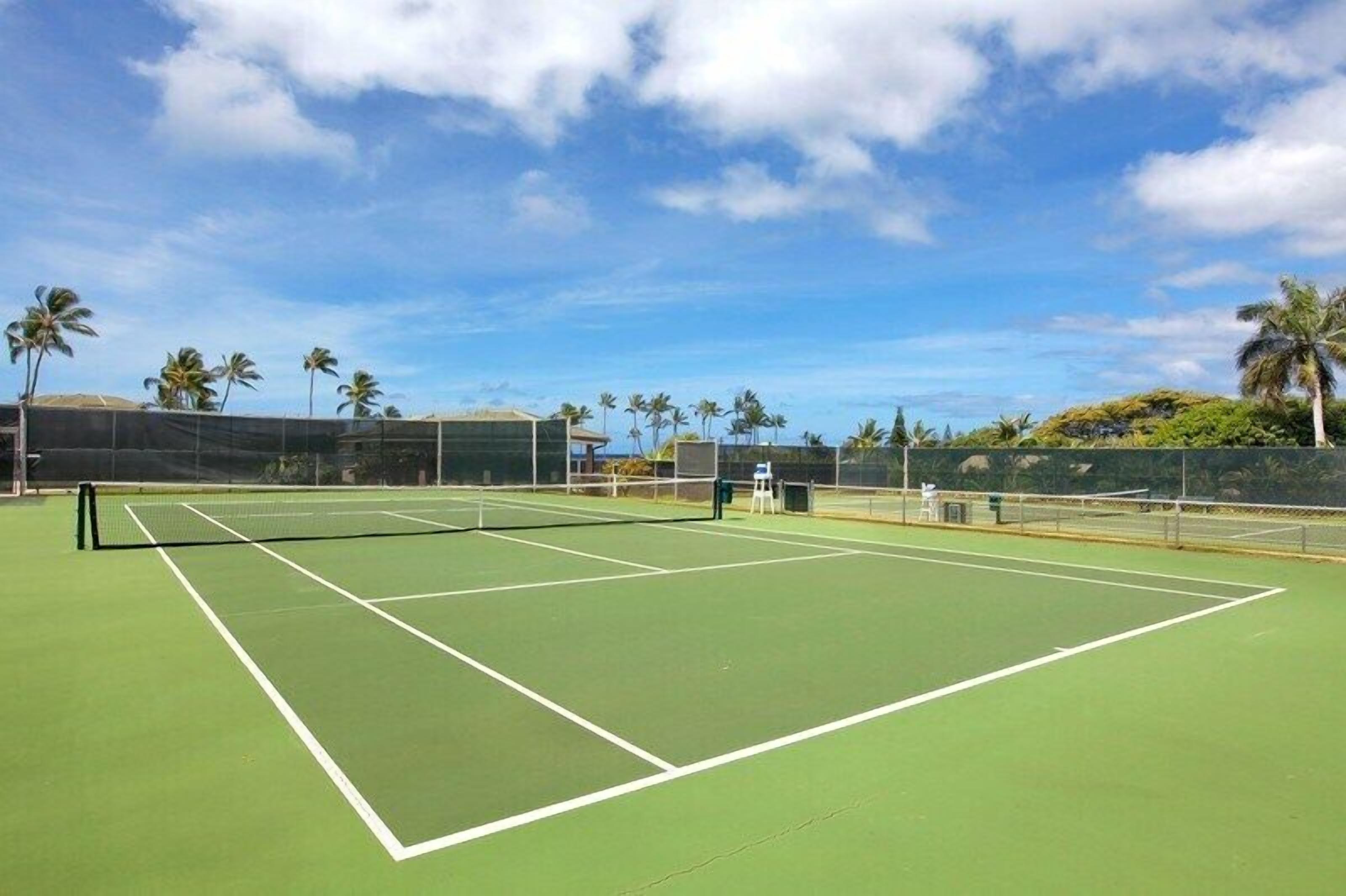 Manualoha Complex Tennis Courts