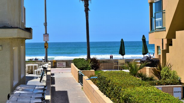 A coastal hotel with a view of the ocean, outdoor seating, and a palm tree. - Luv Oceanside-1 House to Beach (San Diego)