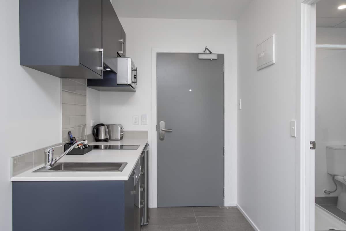 fridge, dishwasher, coffee/tea maker, electric kettle