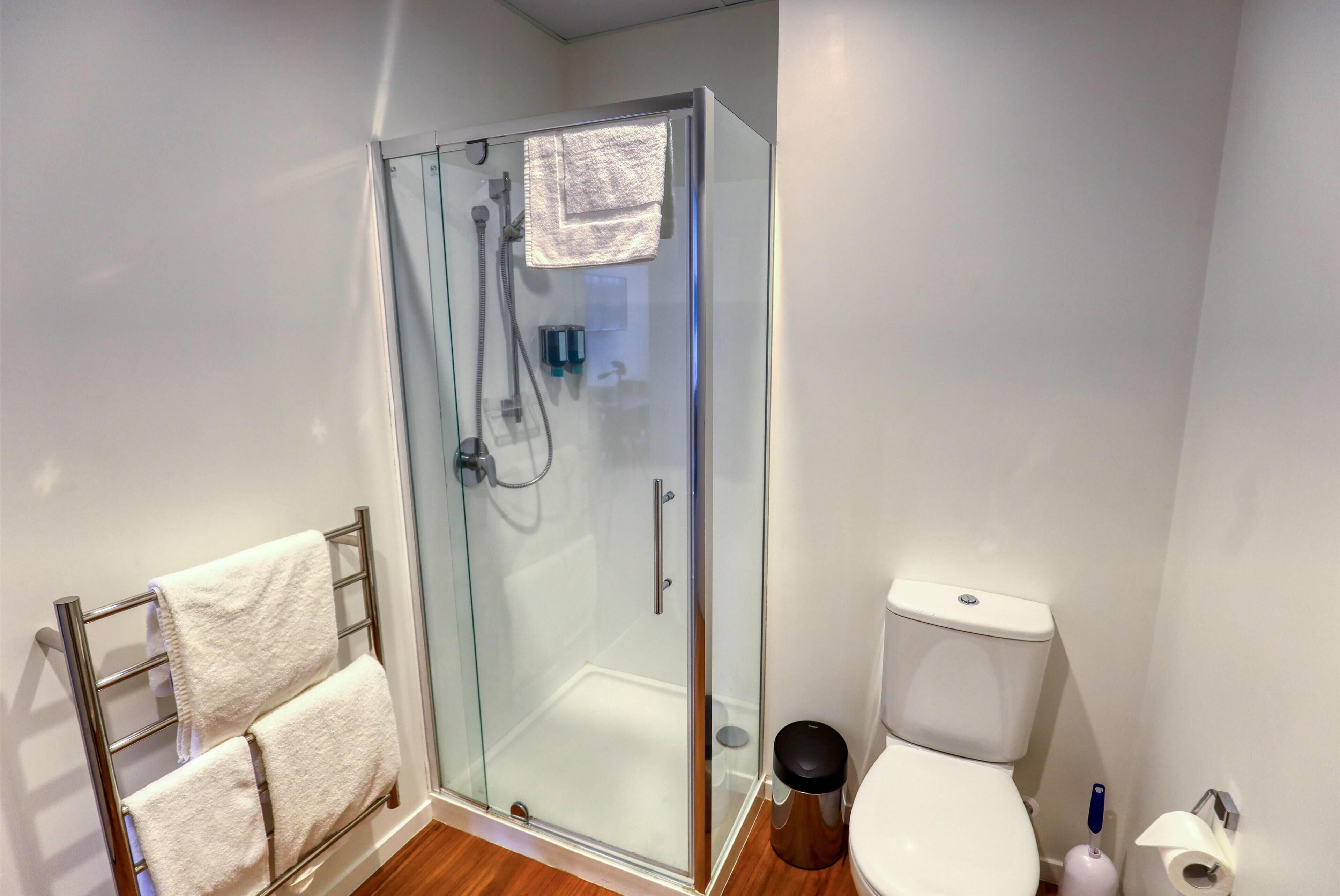 deluxe room, non smoking (apartment) | bathroom | shower, free toiletries, hair dryer, towels