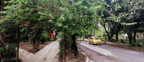 Overnatningsstedets område