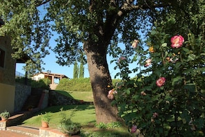 Terrain de l’hébergement 