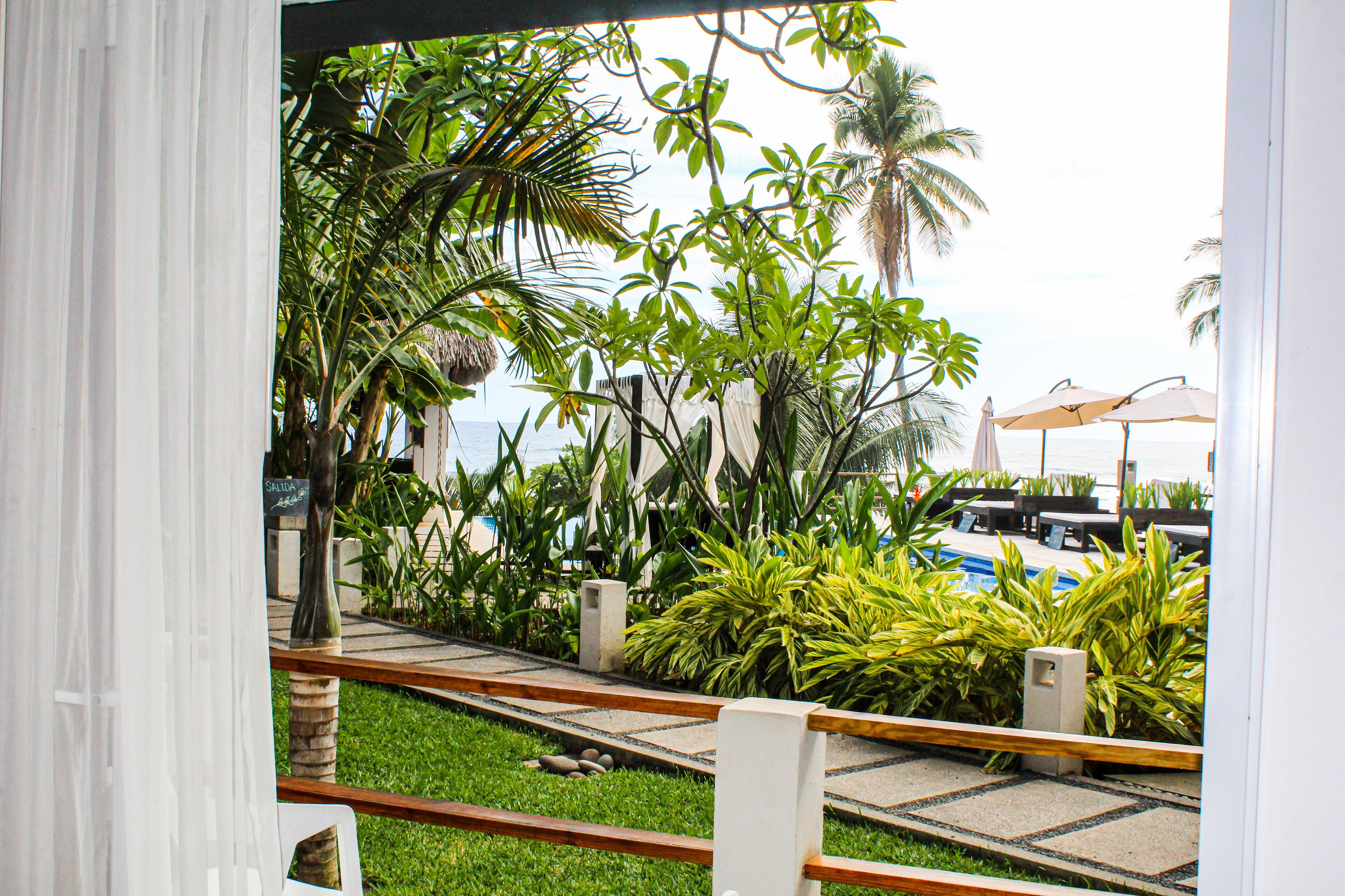 A view of a pool area with palm trees and lounge chairs.