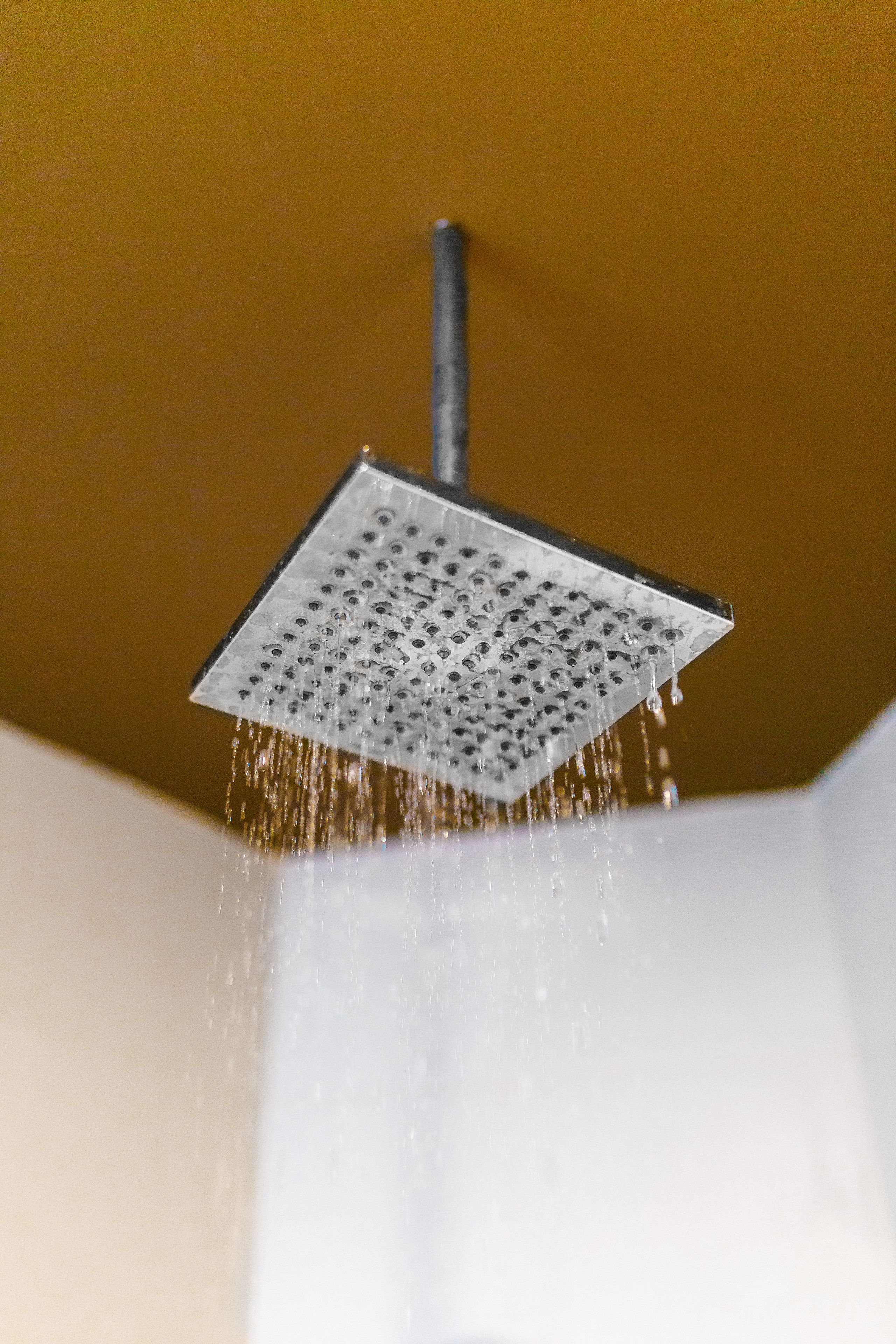 deluxe room, 1 king bed, garden view | bathroom shower