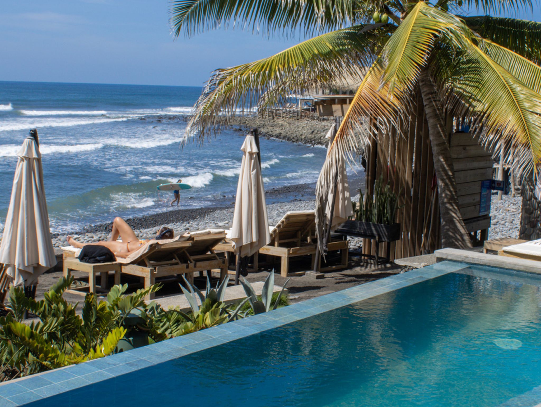Zona de piscina con sillones de descanso y sombrillas, una playa con olas y una palmera.