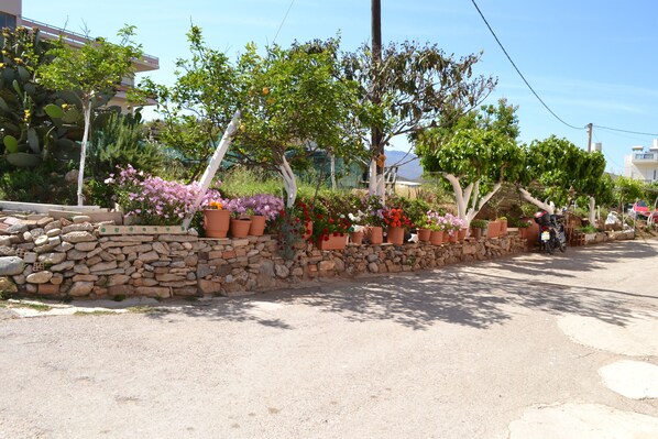 Property grounds - Nice apartment in Kissamos (Kissamos)