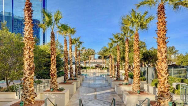 A pathway lined with palm trees leading to a building with a pool.