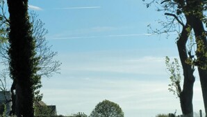 A rural road flanked by large trees and a clear sky. - Cozy studio near Caen and the sea, landing beaches (Biéville-Beuville)
