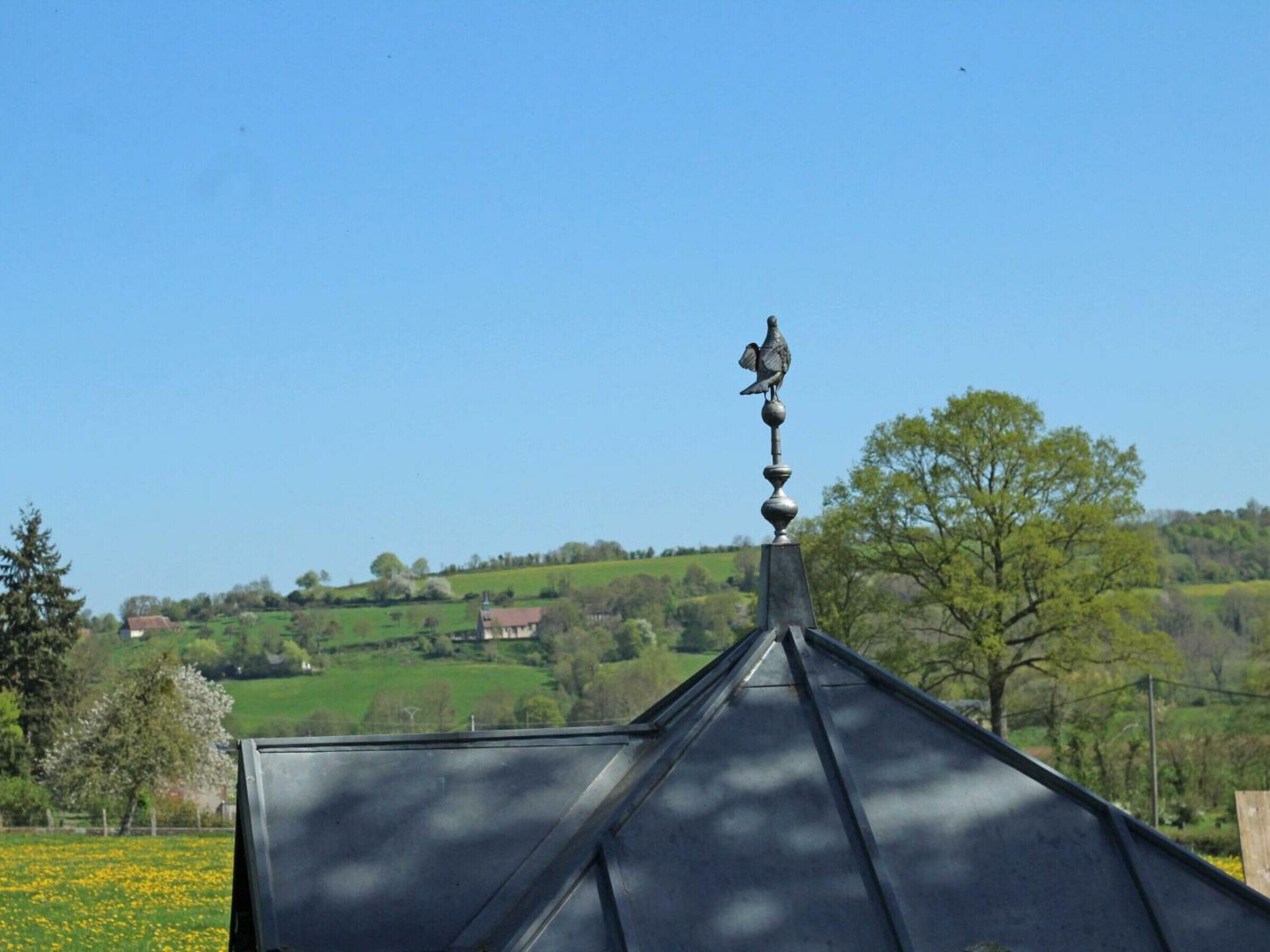 A metal roof with a decorative finial, a clear blue sky, and a rural landscape with fields and trees in the background.