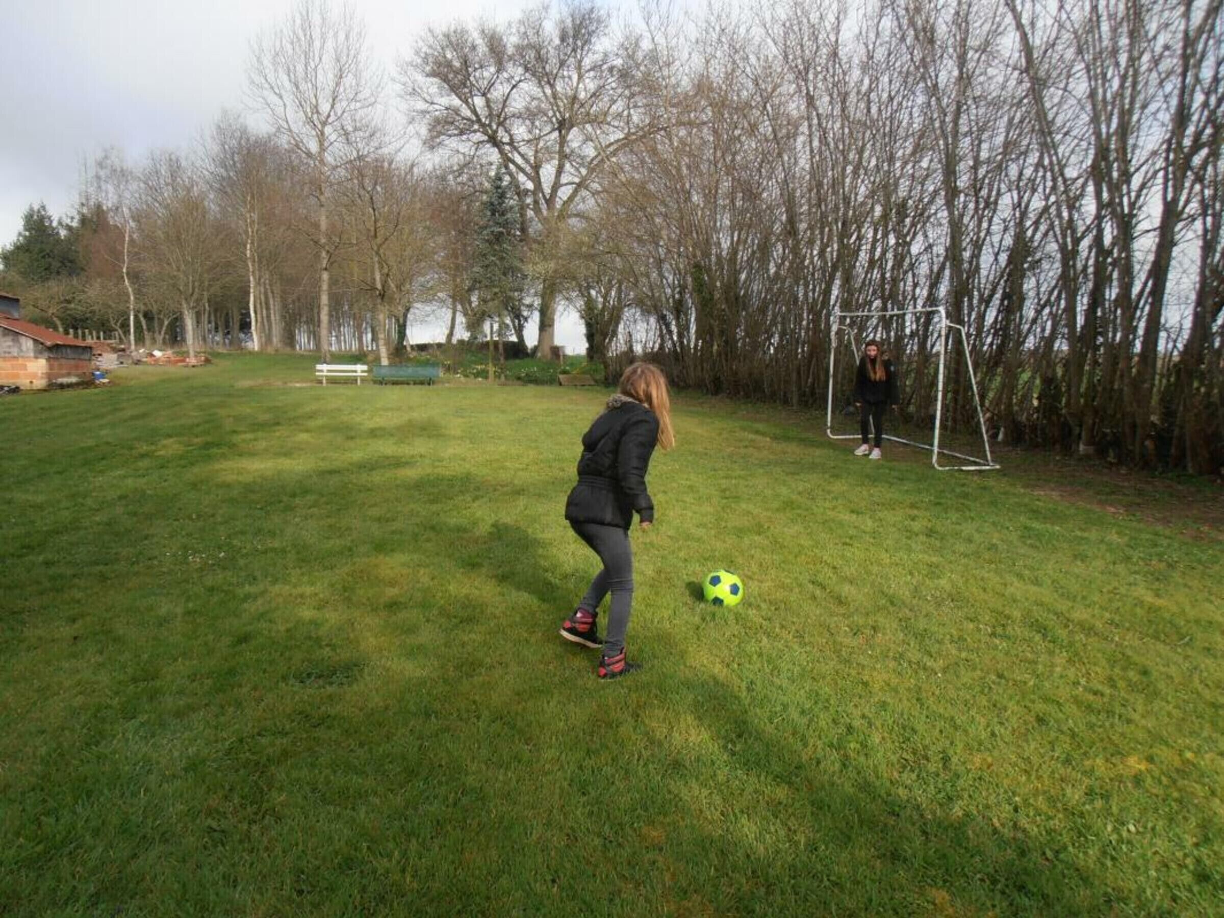 A grassy outdoor area with a goalpost and a soccer ball.
