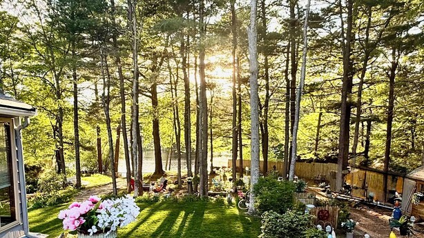 A deck with a view of a well-maintained lawn and trees, a small table with flowers, and a chair.