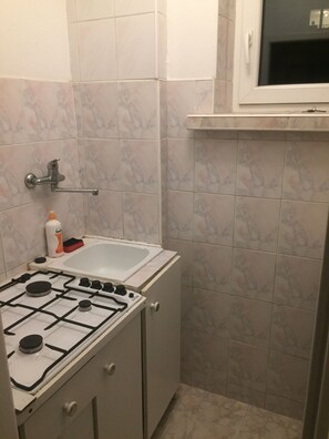 Kühlschrank, Mikrowelle, Herdplatte, Küchenrolle