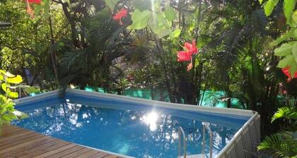 Private Apartment with Jungle Views