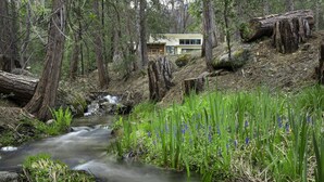 Une maison traversée par un ruisseau, située dans une zone boisée.