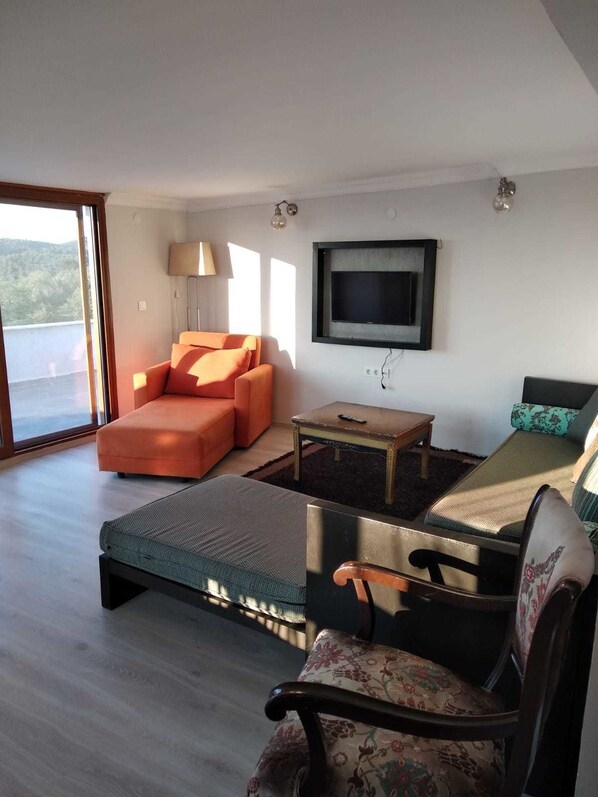 Apartment, 1 Bedroom, Terrace | Living area