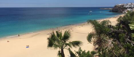 بالقرب من الشاطئ، مناشف للشاطئ