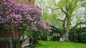 A brick building with a tree in the yard. - Oddfellow Inn & Farm (Helena)