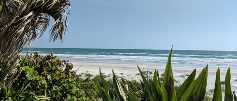 Liegestühle, Strandtücher