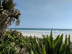 A beach with ocean waves, green plants, and a clear sky. - Beautiful ocean style.  Daily Atlantic sunrise, no extra charge. (Port Orange)