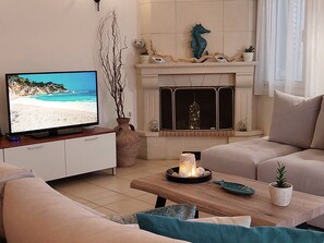 Smart TV, fireplace, books
