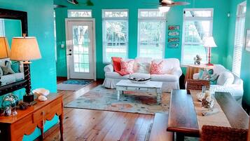 TV connectée, cheminée, lecteur de DVD, livres