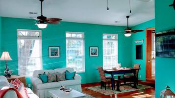 TV connectée, cheminée, lecteur de DVD, livres