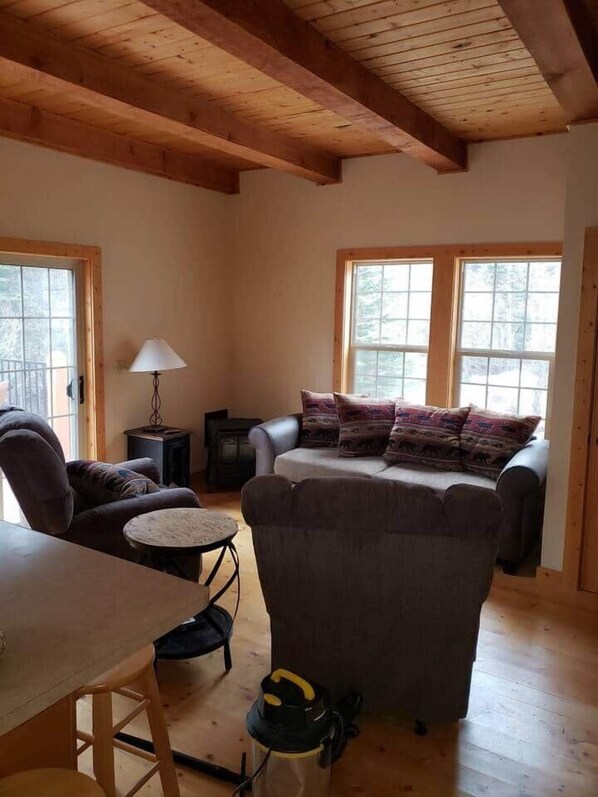 TV, fireplace, DVD player, video library