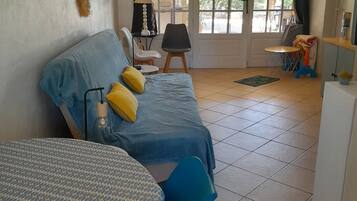 Télévision, cheminée, lecteur de DVD, livres