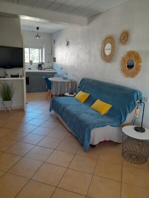 Televisio, takka, DVD-soitin, kirjoja