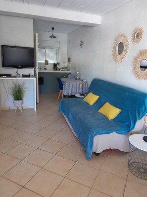 Televisio, takka, DVD-soitin, kirjoja