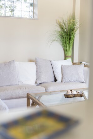 Fernseher, DVD-Player, Bücher, Videothek