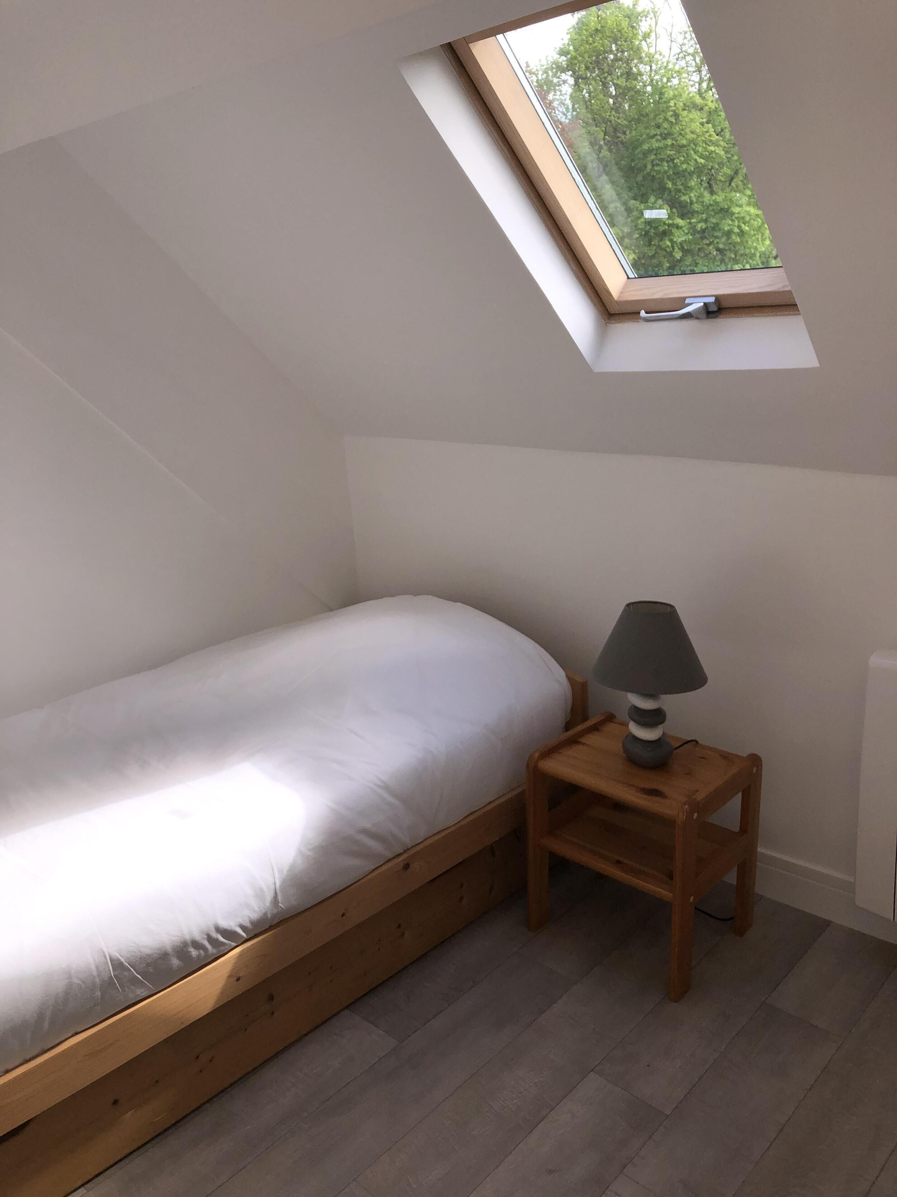 A bedroom with a skylight, a bed, a nightstand with a lamp, and wooden flooring.