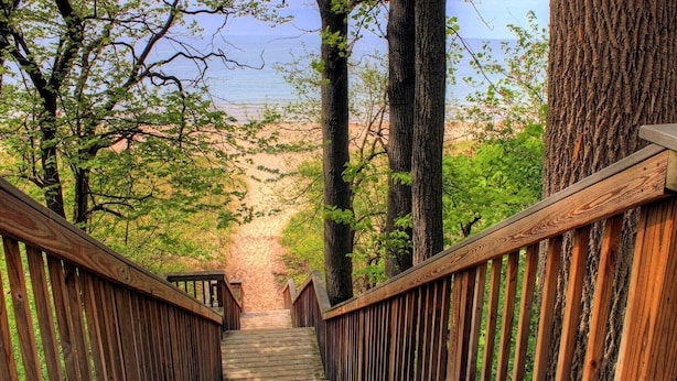A wooden staircase leading to a beach with trees on either side. - Union Pier Hidden Gem | 3 Blocks to Beach | Screened Porch & Fire Pit (Union Pier)