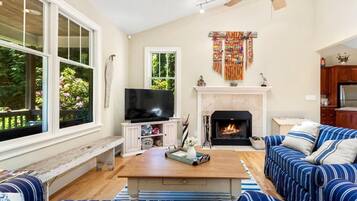 TV connectée, cheminée, lecteur de DVD