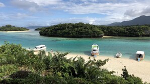 A beach with several boats, a sandy shore, and lush greenery. - Clara Terrace (Ishigaki)