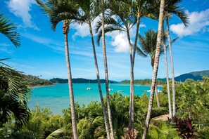 Beach/ocean view - Baybliss Studio 2 (Shute Harbour)