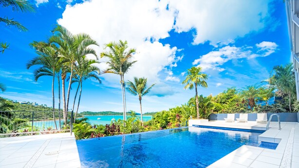 A swimming pool with a view of the ocean, surrounded by palm trees and a clear blue sky. - Baybliss Studio 2 (Shute Harbour)