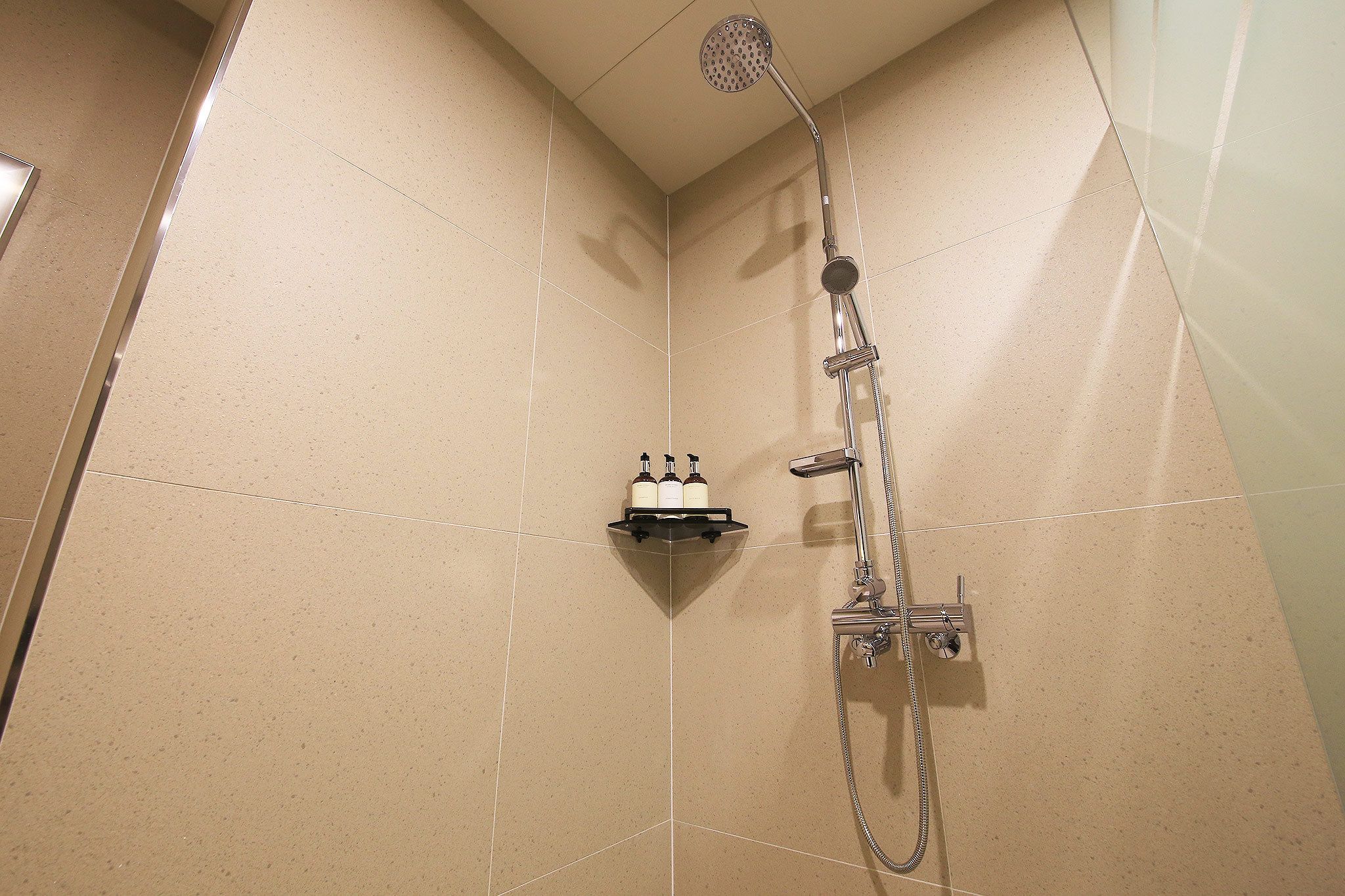 standard room | bathroom shower